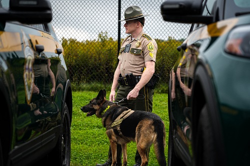 K9 unit in store action